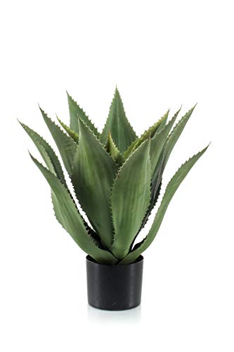 artplants.de Kunst Agave Fernanda, grün, 55cm - Künstliche Agave Pflanze/Sukkulente künstlich von artplants