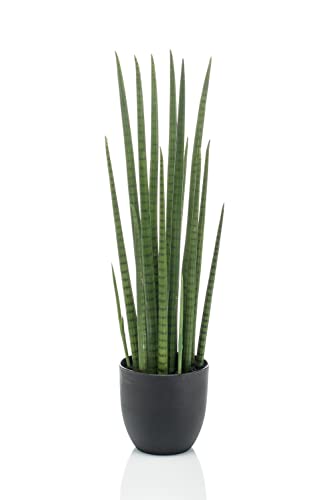 artplants.de Kunst Sansevieria Cylindrica KICHIRO im Dekotopf, grün, 70cm - Kunststoff Sukkulente artplants.de Kunst Sansevieria Cylindrica KICHIRO im Dekotopf, grün, 70cm - Kunststoff Sukkulente von artplants