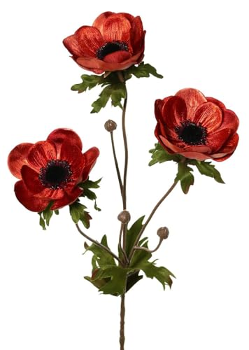 artplants.de Kunstblumen Zweig Anemone WINFAS, dunkelorange, 75cm - Samt Anemonenzweig artplants.de Kunstblumen Zweig Anemone WINFAS, dunkelorange, 75cm - Samt Anemonenzweig von artplants