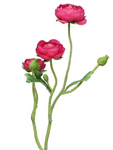 artplants.de Kunstblumen Zweig Ranunkel JIXIANG, pink, 50 cm - Künstliche Blume von artplants