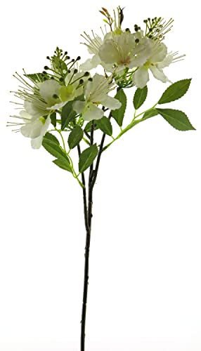 artplants.de Kunstblumen Zweig Weißdorn MEIRAN mit Blüten, Creme, 65 cm - Blütenzweig künstlich von artplants