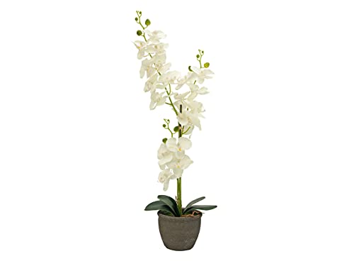 artplants.de Phalaenopsis Orchidee künstlich Katalin, Dekotopf, Creme, 80cm - Kunstorchidee von artplants