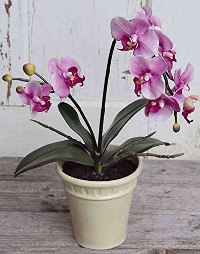 artplants.de Phalaenopsis künstlich Zahra, Keramiktopf, rosa, 60cm - Kunst Orchidee - künstliche Orchidee von artplants