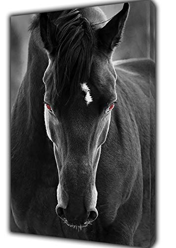 ARTSPRINTS Beautiful Black Horse Foto Bild Kunstdruck auf gerahmter Leinwand Wand Art Home Dekoration, 20'' x 16 inch(50x 40 cm) -38mm depth von ARTSPRINTS