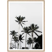artvoll - Palm Tree 03 Poster mit Rahmen, Eiche natur, 50 x 70 cm von artvoll