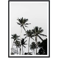 artvoll - Palm Tree 03 Poster mit Rahmen, schwarz, 50 x 70 cm von artvoll