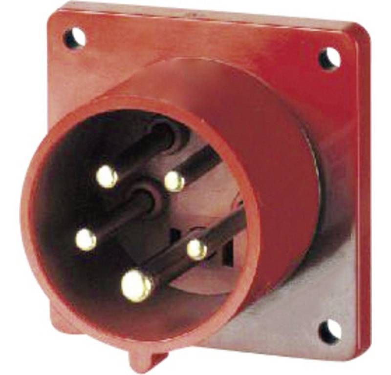 as - Schwabe Steckdose AS Schwabe 60444 CEE Anbaustecker 32 A 400 V 1 St. von as - Schwabe