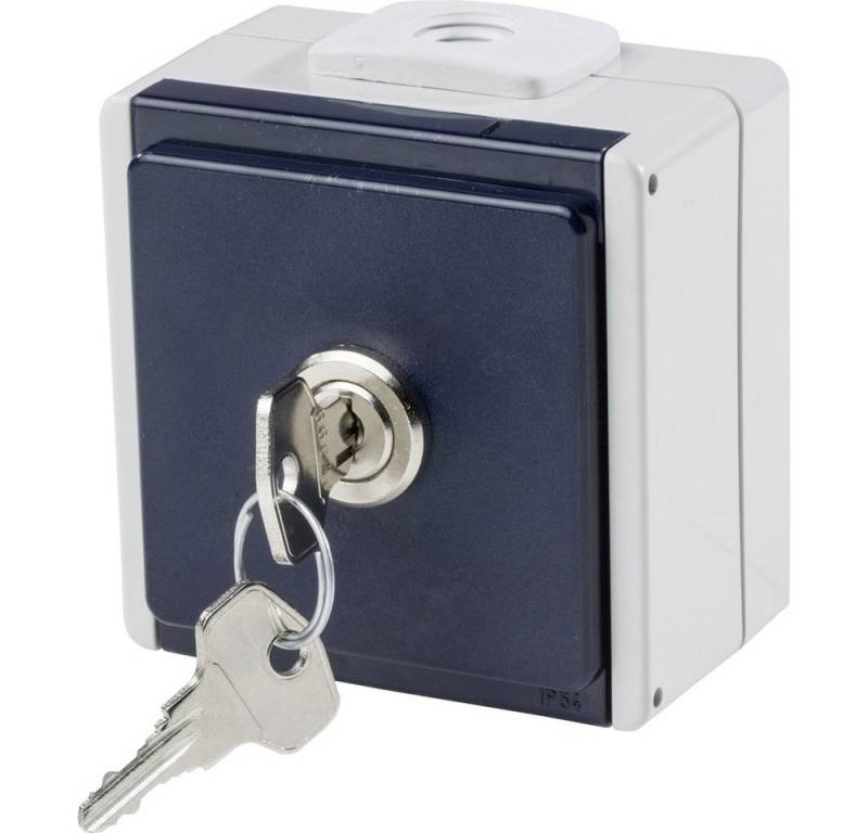 as - Schwabe Steckdose AS Schwabe 62461 Aufputz-Steckdose abschließbar IP54 Grau as - Schwabe Steckdose AS Schwabe 62461 Aufputz-Steckdose abschließbar IP54 Grau von as - Schwabe