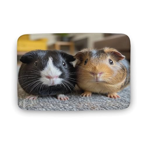 asbwuo Meerschweinchen-Badezimmerteppich für Haustiere, Moderne, schöne Meerschweinchen-Badematte mit Rutschfester Rückseite, 40,6 x 61 cm von asbwuo