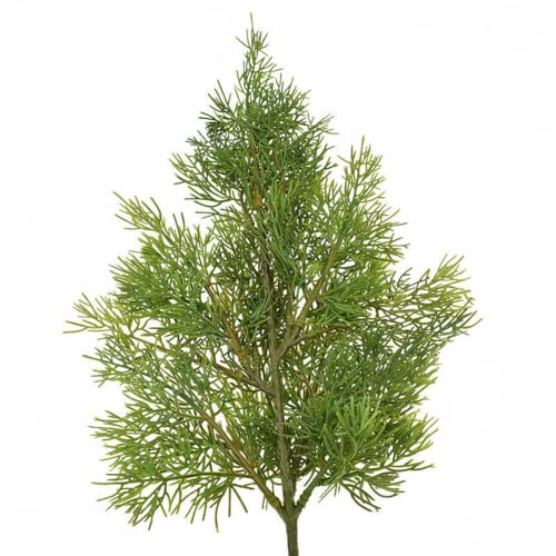 asky Künstliches Blatt grüne Pflanze Zypressenbaum Weihnachten Topfbaum Haus Garten Dekor (Nadelkiefe) von asky