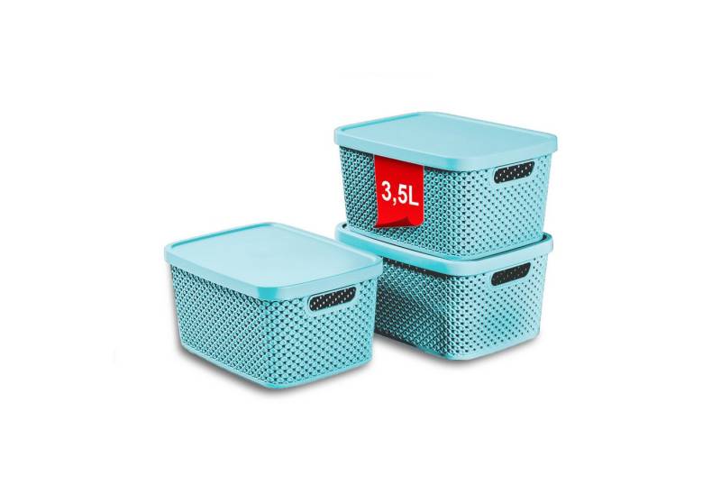 astor24 Aufbewahrungsbox 3er Set Aufbewahrungskorb mit Deckel Box Kiste Regalkorb Organizer (3er Set), erhältlich in 4 Größen und verschiedenen Farben von astor24