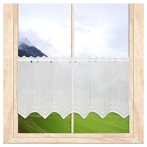 Dezent bestickte Scheibengardine Paula mit Perlenschnur-Stickerei in weiß aus Plauener Spitze in 3 Höhen (Höhe x Breite: 45 x 128 cm) von atelier alles-Spitze