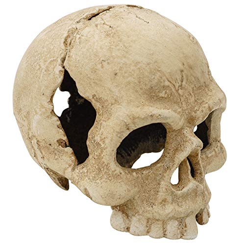 Teelichthalter Totenkopf Kerzenständer Figur Skulptur Eisen Antik-Stil Memento Mori von aubaho