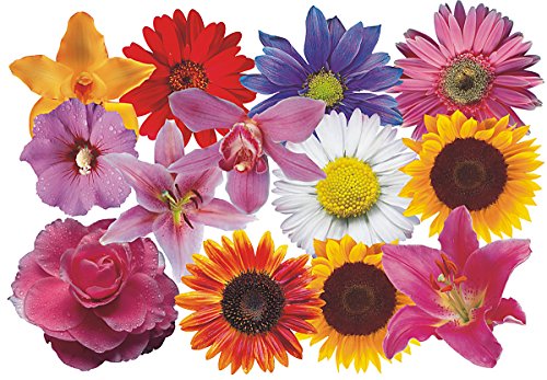 Autoaufkleber, Blumendesign: Flower Set 08-Mini-36 Stück von aufgeklebt.de