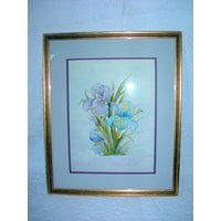 Weinlese Aquarell-Malerei Von Blau Und Lila Iris Signiert 16 1/2 X 20 Unter Glas Gerahmt von auntflorieshouse