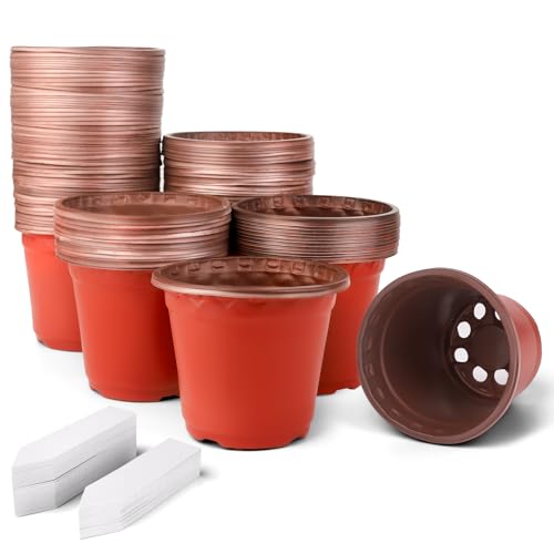 auriikoop Anzuchttöpfe 100 Stück Pflanztöpfe, Pflanzentöpfe 9,8 cm Blumentopf Durchmesser für Sämlinge Pflanzen, Sukkulenten, Setzlinge, Stecklinge, Umpflanzen und Gartenarbeit von auriikoop