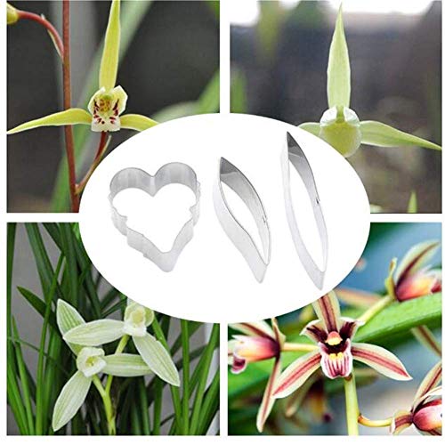 Phalaenopsis Schmetterling Orchidee Ausstecher Silikonform Handgemachte Seife Werkzeug Kuchen Werkzeug Backform Edelstahl Plätzchen Werkzeug (04) von ausuky