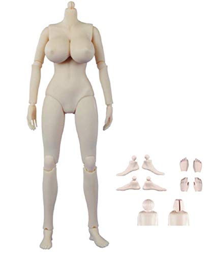 ausuky Flexibles weibliches Körpermodell im Maßstab 1/6, große Brust für 30,5 cm große Action-Spielfigur ausuky Flexibles weibliches Körpermodell im Maßstab 1/6, große Brust für 30,5 cm große Action-Spielfigur von ausuky