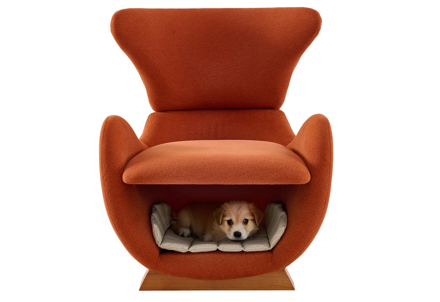 autolock Loungesessel Einzelsofa im Walhai-Look mit Anti-Kratz-Stoff, haustierfreundlicher, Fernsehsessel für Wohnzimmer & Rückzugsort für Katzen & kleine Hunde autolock Loungesessel Einzelsofa im Walhai-Look mit Anti-Kratz-Stoff, haustierfreundlicher, Fernsehsessel für Wohnzimmer & Rückzugsort für Katzen & kleine Hunde von autolock