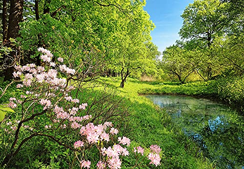 Fototapete Wald Natur See Wiese Schlafzimmer Wohnzimmer | 3,66 m x 2,54 m | Grün, Rosa, Blau von awallo