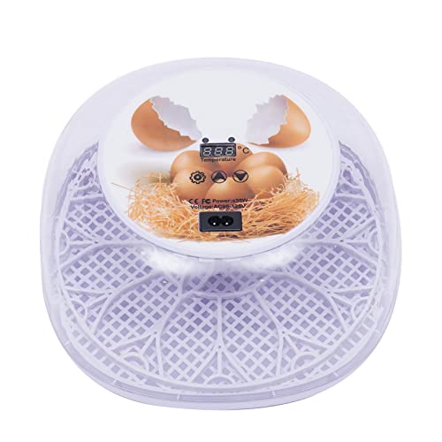 awolsrgiop Eier Brutautomat 12 Eier Vollautomatisch Inkubator mit Automatischer Wendefunktion, Temperatur & Luftfeuchtigkeitskontrolle, 360° Klarsichtfenster für Hühne, Enten & Wachteln Egg awolsrgiop Eier Brutautomat 12 Eier Vollautomatisch Inkubator mit Automatischer Wendefunktion, Temperatur & Luftfeuchtigkeitskontrolle, 360° Klarsichtfenster für Hühne, Enten & Wachteln Egg von awolsrgiop