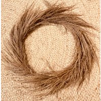 Natur Pampasgraskranz von axelklodt