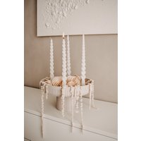 Trocken Amaranthus Gebleicht Infinity von axelklodt