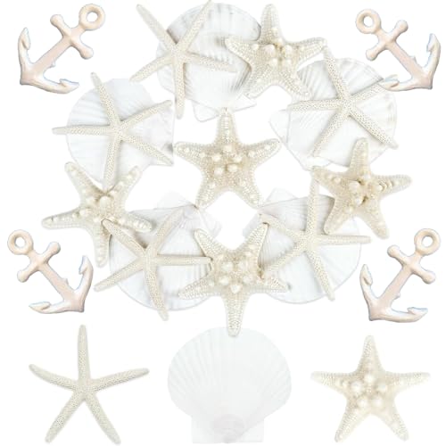 20 Stück Seestern und Muscheln Deko, Muscheln zum Bemalen und Auffädeln für Maritime Themen, Stranddeko für DIY Handwerk, Aquarium, Basteln, Zuhause, Partys (10 Seesterne/5 Jakobsmuscheln/5 Anker) von azttior
