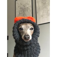 Snood Halswärmer Für Hunde Anthrazit Mit Neonschleife von azulperrode