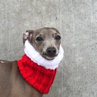 Snood Nackenwärmer von azulperrode