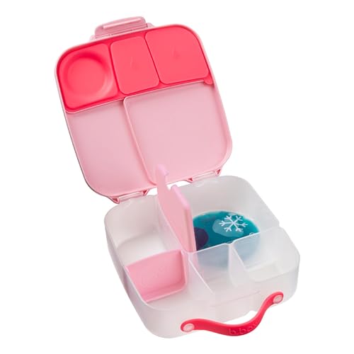 b.box Lunchbox für Kinder: Jumbo-Bento-Box mit 4 Fächern, herausnehmbare Trennwände, Gel-Kältepackung, ältere Kinder und große Esser ab 3 Jahren, Schulbedarf Flamingo Fizz von b.box