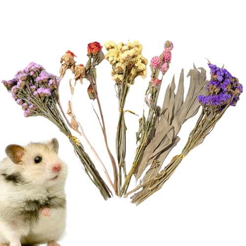 baabeash Trockenblumen Für Hamster, Kleine Tierblumen Habitat Decor, Natürlich Getrocknete Für Sommer Desodorierungs Und Landschafts Zubehör, Hinzufügen Von Lustigen Hamsterzubehör von baabeash