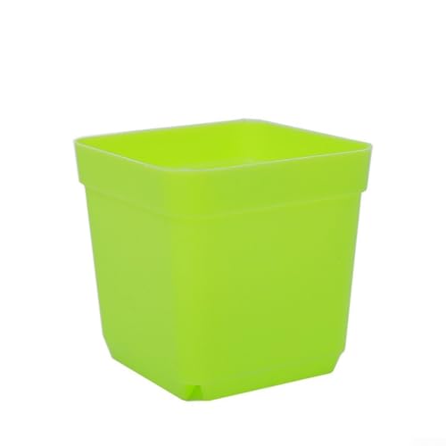 10 Stück quadratische Mini-Becken-Blumentopf-Tabletts für Sukkulenten mit Bodenentwässerung und Belüftung für Zuhause und Büro (1) von babominimer