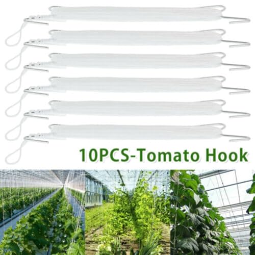 Tomatenhaken aus Eisen mit langen Nylonseilen für Gewächshaus-Unterstützung Tomatenhaken aus Eisen mit langen Nylonseilen für Gewächshaus-Unterstützung von babominimer