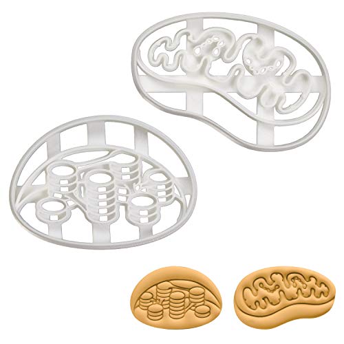 2er Set Ausstechformen (Formen: Mitochondrien & Chloroplast), 2 Teile, Bakerlogy von bakerlogy