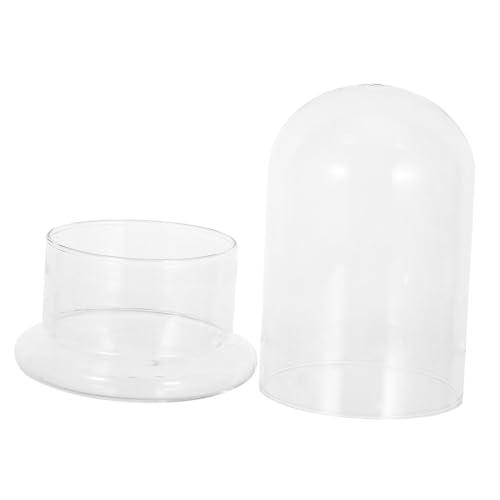 Balacoo Hydroponisches Terrarium Glasdome für DIY Landschaft Luftdichter Pflanzglasbehälter ohne Erde für Moos Sukkulenten und Zimmerdekoration von balacoo