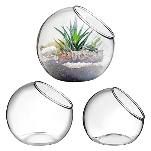 Glas-Terrarium-Behälter, Kugel, Desktop-Glas-Pflanzgefäß, klare Blasenschale, Glasschale, Vasen, schräge Kugelvase, klare Ornamente, Topfgießer, Goldfisch, Blumen, Kerzenständer, Sukkulenten, 3 Stück Glas-Terrarium-Behälter, Kugel, Desktop-Glas-Pflanzgefäß, klare Blasenschale, Glasschale, Vasen, schräge Kugelvase, klare Ornamente, Topfgießer, Goldfisch, Blumen, Kerzenständer, Sukkulenten, 3 Stück von balacoo