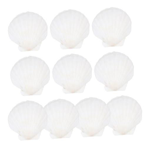 balacoo 10 Stück Natürliche Weiße Jakobsmuscheln Teiliges DIY Bastelmuscheln für Aquarium Tischdeko Strandparty Wohnkultur von balacoo