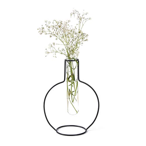 Balvi Blumenvase Round Silhouette Farbe Schwarz Dekorative Vase aus Glas und Metall Originelle Blumen von balvi