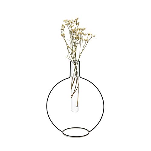 balvi Blumenvase Round Silhouette XL Farbe Schwarz Dekorative Vase aus Glas und Metall Originelle Blu von balvi