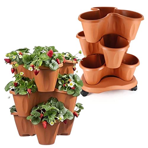 Bama Spa Säulentopf Set stapelbar 3 Ebenen Pflanz Blumen Kräuter Topf Etagere 3er Roller Terracotta von bama