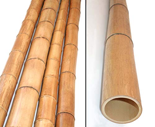 1 Stück Bambusstangen gelbbraun hitzebehandelt 100cm Durch. 9 bis 10cm, Moso Natur getrocknet - Bambus Bambusrohre Bamboo Bambusstangen von bambus-discount.com