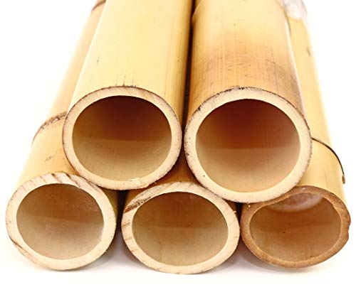 1 Stück Moso Bambusrohr 100cm gelblich mit 7,8 - 9cm Durchmesser - Dickes 1m Rohr aus gebleichtem Bambus von bambus-discount.com