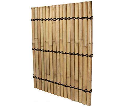 Bambus Sichtschutzzaun Bambuswand starr Apas4 150 x 120cm aus dicken gelblichen Bambusrohren mit 7-9cm Durchmesser von bambus-discount.com
