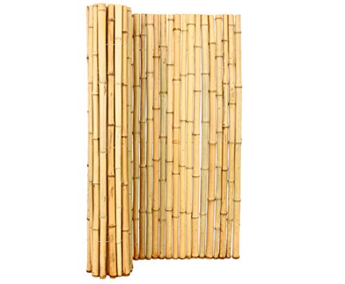 Bambusmatte Rollzaun 150 x 200cm Bali Big aus dicken naturbelassenen Bambusrohren mit 3,5 bis 5cm Durchmesser von bambus-discount.com