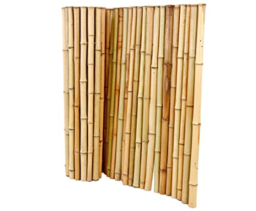 Bambusmatte Rollzaun Bali Big mit 100x200cm aus Moso Bambusstäben 3,5 bis 5cm naturbelassen - Bambus Sichtschutz aus Bambusrohren 1m x 2m von bambus-discount.com