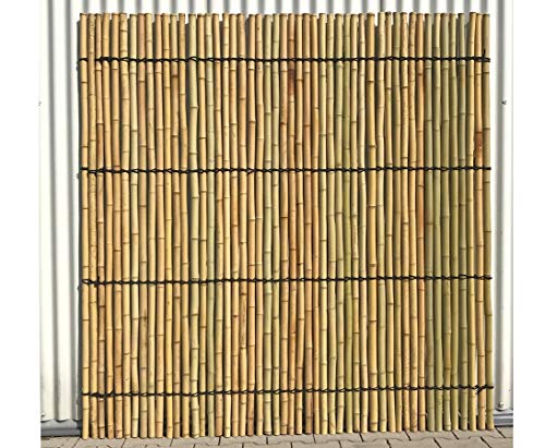 Bambuszaun starr, Moso gelblich Gebleicht mit 150x120cm, Durch. Bambusrohre 3,5-4cm - Hochwertiger Zaun aus gelblich gebleichten Moso Bambusrohren von bambus-discount.com