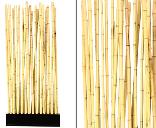 Design Raumteiler ca. 90 x 12 x 205cm mit 27 stehenden Bambusrohren im schwarzen Sockel - Raumtrenner aus Bambusstangen von bambus-discount.com