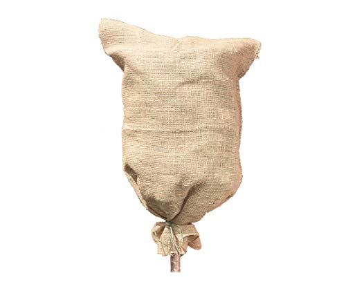 Jute-Sack Jutebeutel 80x60cm - Naturfaser Gewebesack Winterschutz für Pflanzen von bambus-discount.com