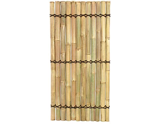 Sichtschutzzaun Bambuszaun Apas5 gelblich mit 180 x 90cm - Bambus Sichtschutzwand aus dicken Bambusrohren 1,8m x 0,9m von Bambus-Discount von bambus-discount.com